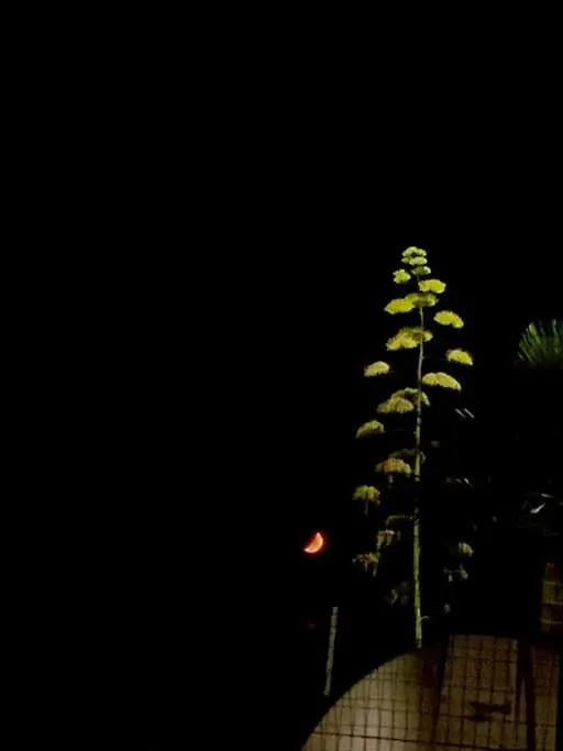 Casa Plumeria Marinella di Selinunte 0*,